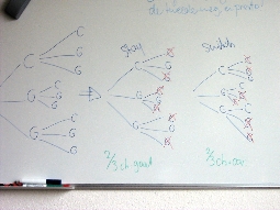 My white board, with decision trees.